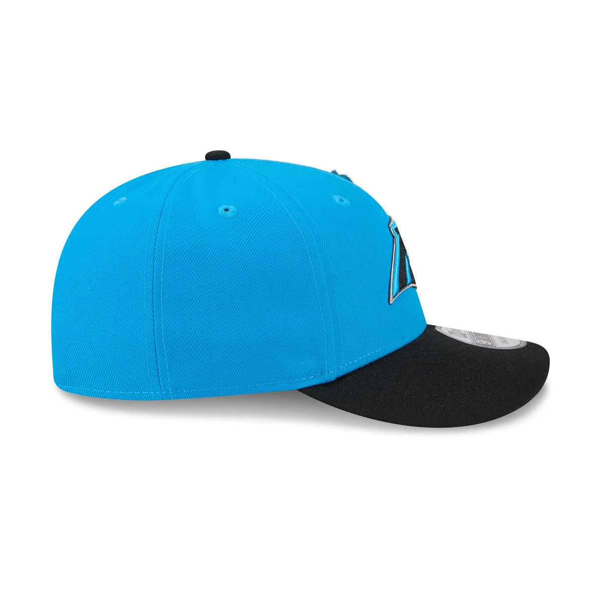 Carolina Panthers 2026 Draft 9FIFTY Snapback Hat