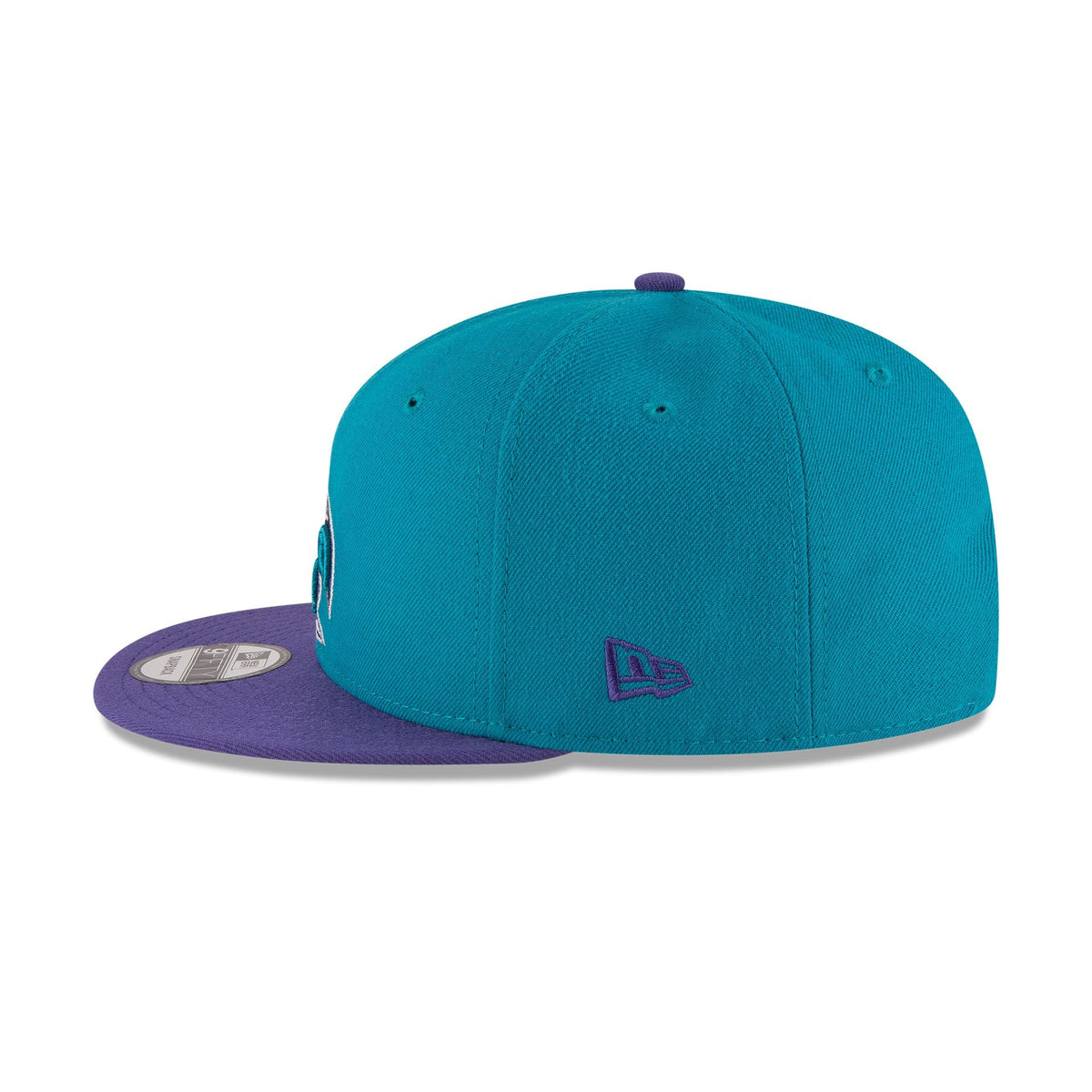 Charlotte Hornets Basic Two Tone 9FIFTY Snapback Hat