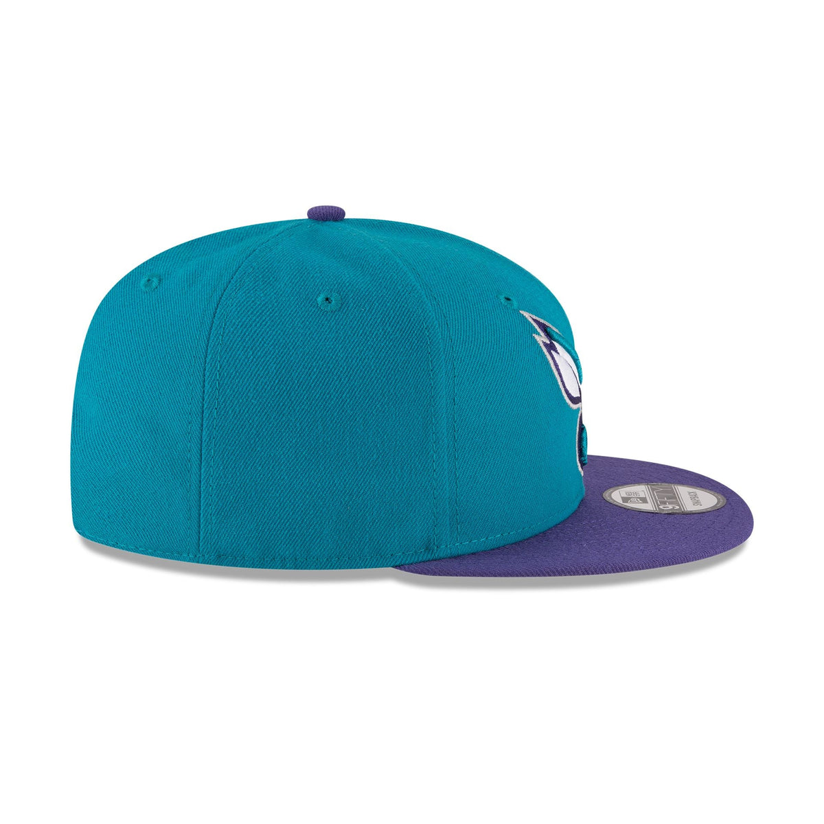 Charlotte Hornets Basic Two Tone 9FIFTY Snapback Hat